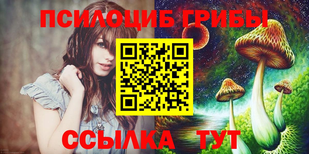 Галлюциногенные грибы Psilocybe Ипатово